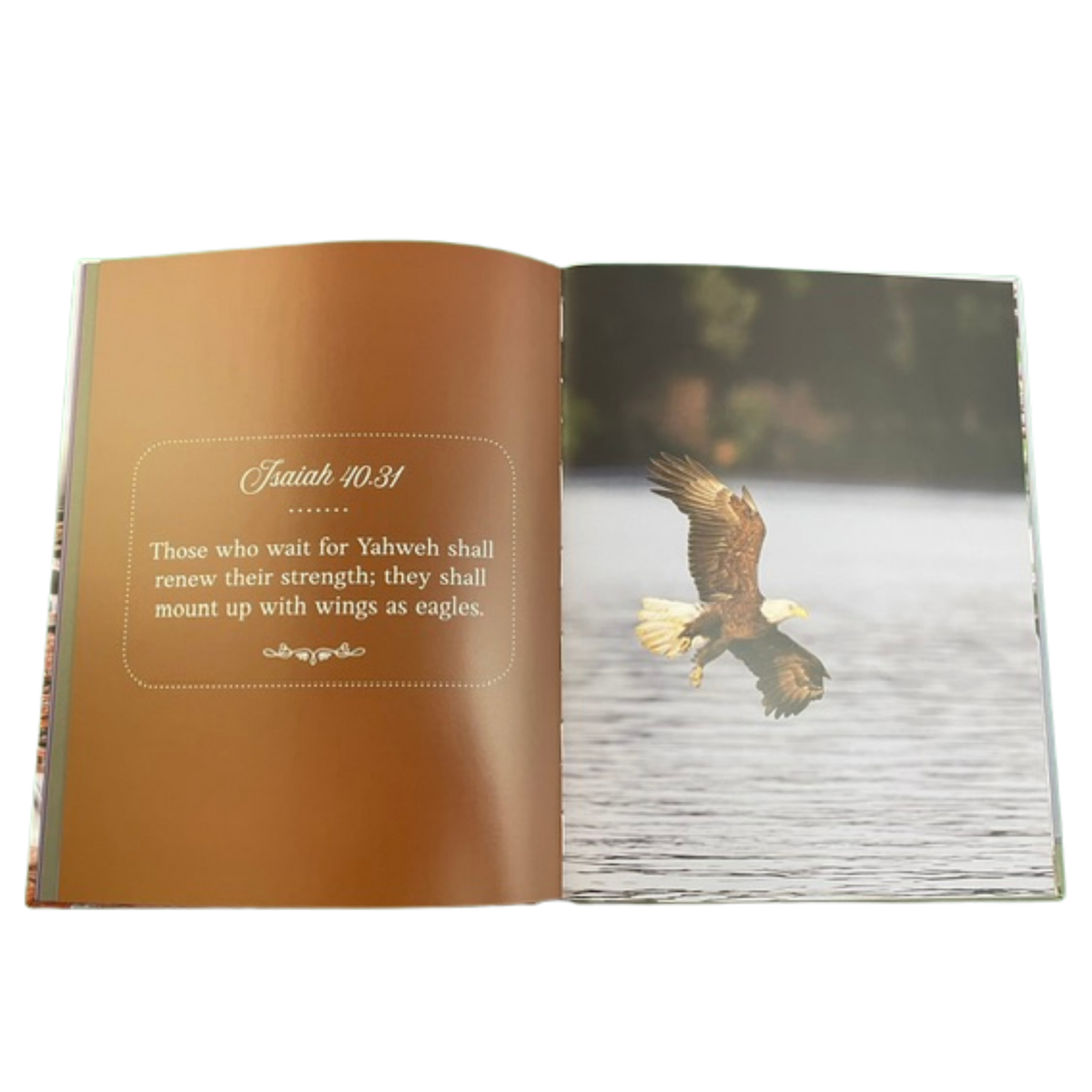 God’s Glory Through Verse and Nature – Large-Print Hardcover Scripture Picture Book for Seniors