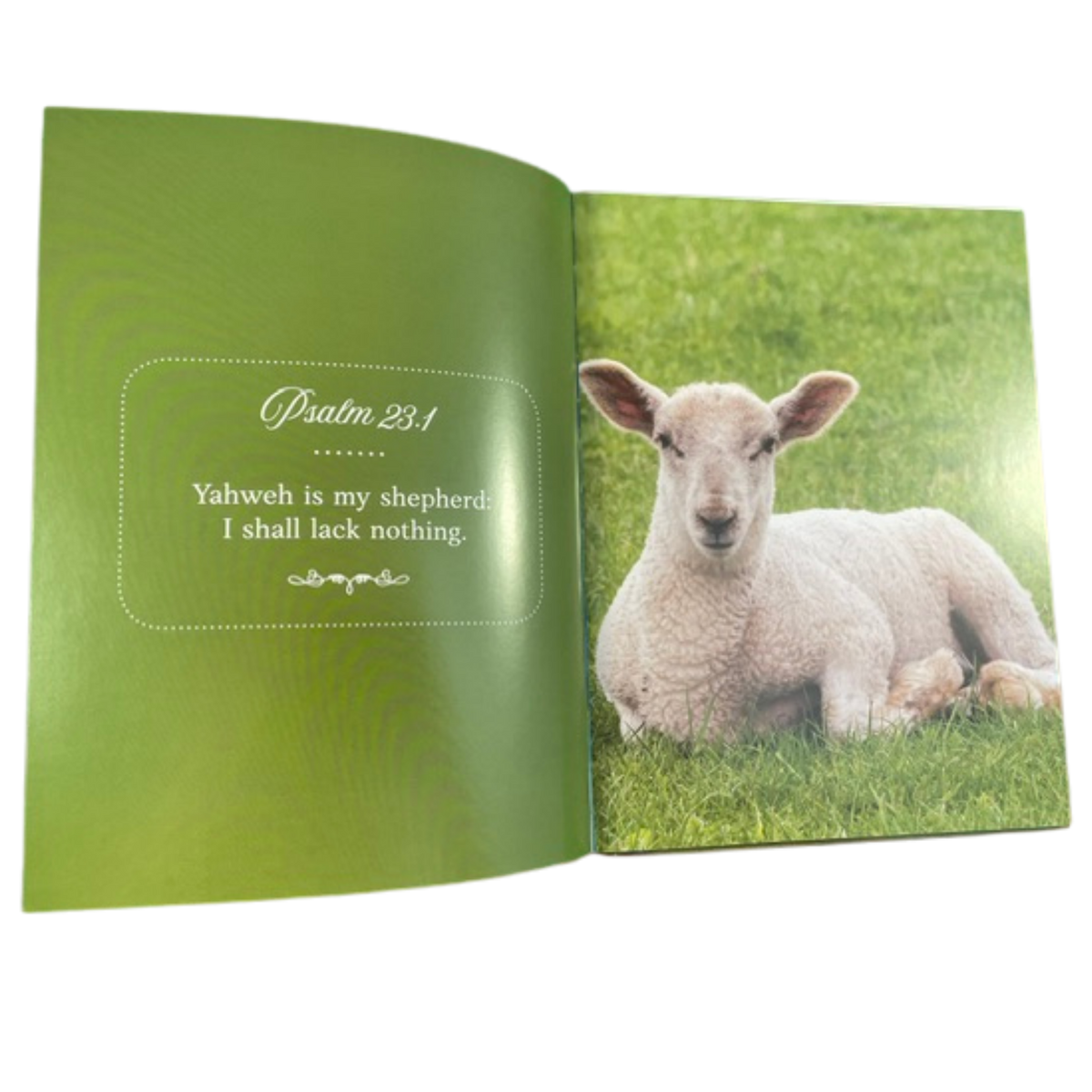 God’s Glory Through Verse and Nature – Large-Print Hardcover Scripture Picture Book for Seniors
