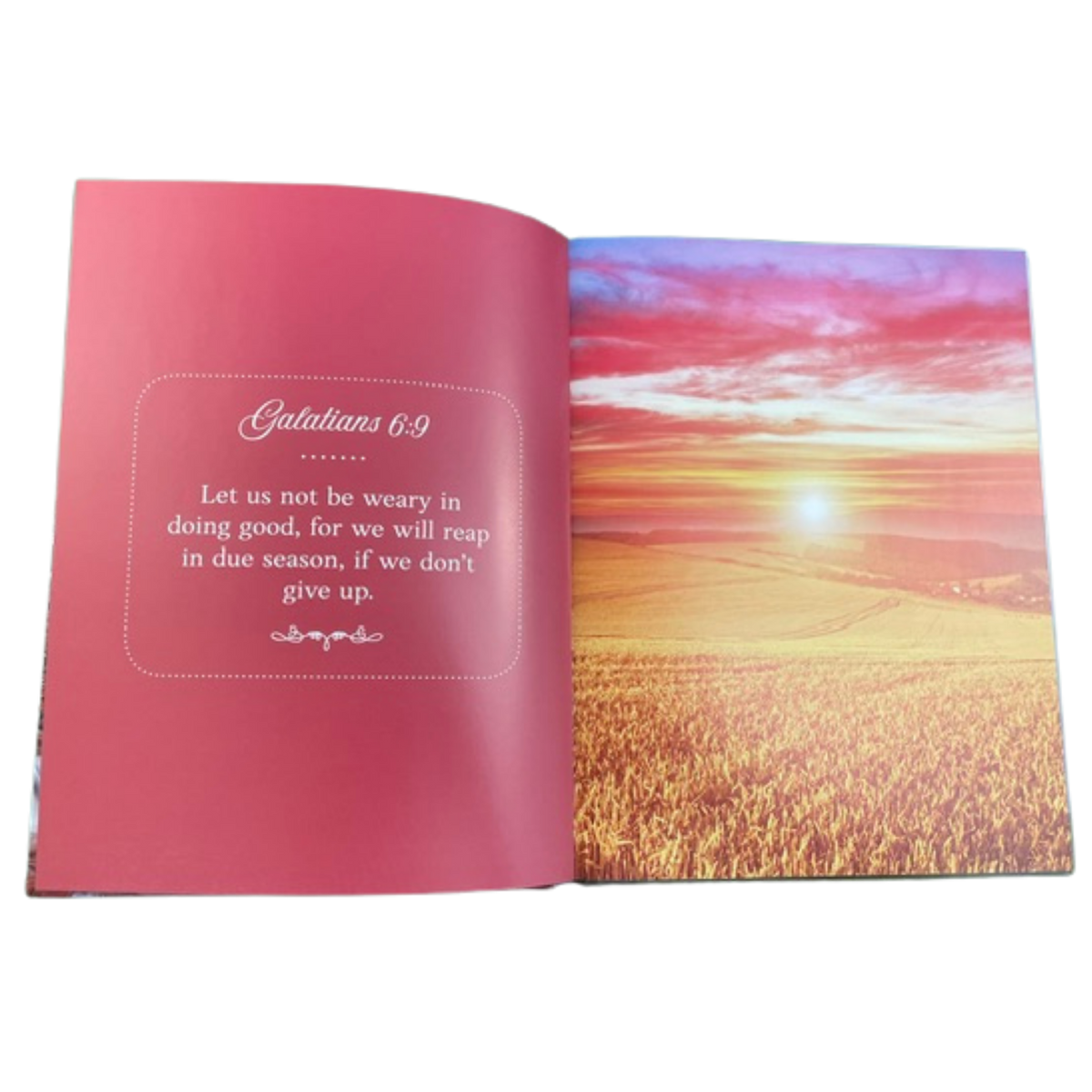 God’s Glory Through Verse and Nature – Large-Print Hardcover Scripture Picture Book for Seniors