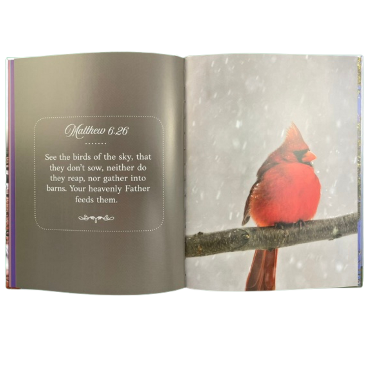 God’s Glory Through Verse and Nature – Large-Print Hardcover Scripture Picture Book for Seniors